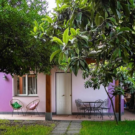 Villa Giardino Carya - Giarre Centro Exterior foto